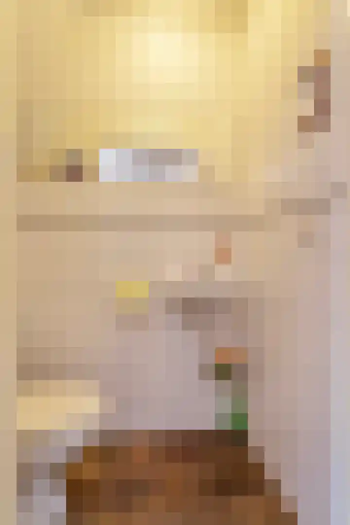 Gasthuisstraat 5 Gemonde thumbnail 7