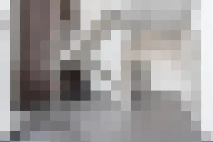 Gasthuisstraat 50 Kerkdriel thumbnail 39