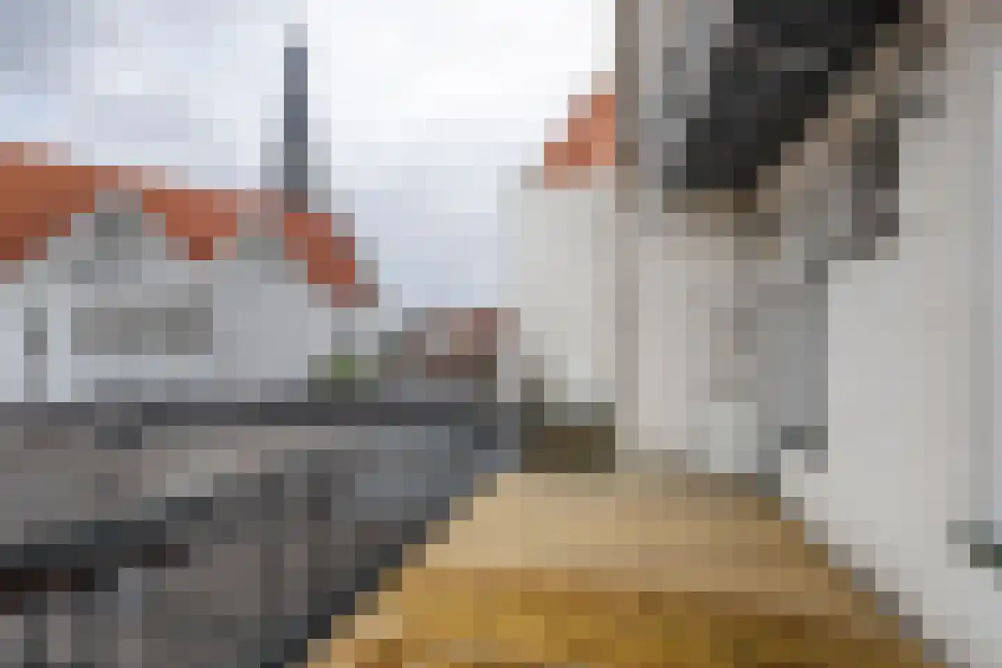 Gasthuisstraat 54 Gorinchem thumbnail 12
