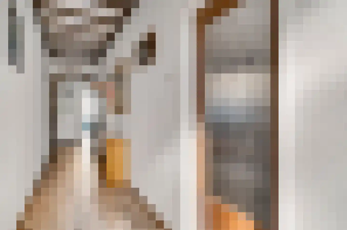 Gasthuisstraat 54 Horst thumbnail 25
