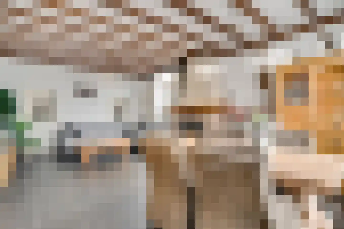 Gasthuisstraat 54 Horst thumbnail 37