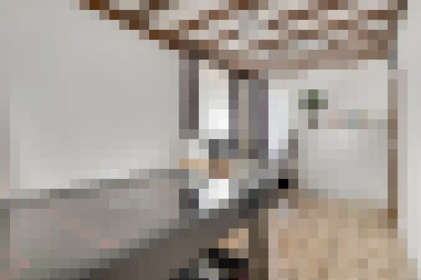 Gasthuisstraat 54 Horst thumbnail 40