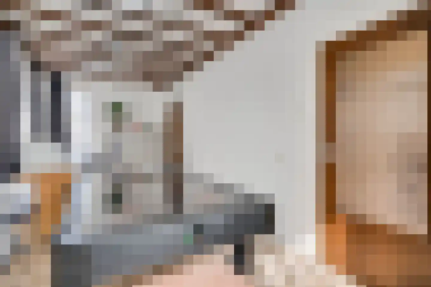 Gasthuisstraat 54 Horst thumbnail 42