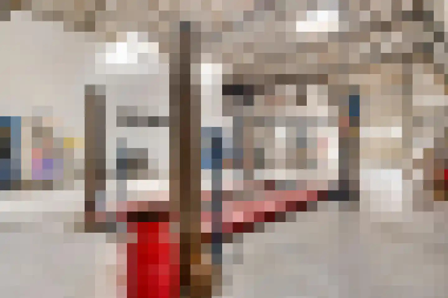 Gasthuisstraat 54 Horst thumbnail 56