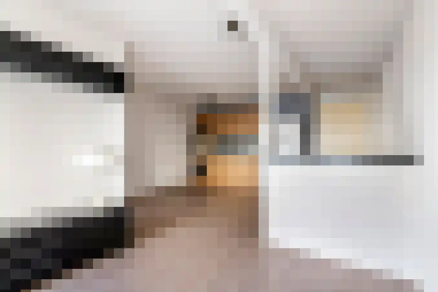 Gasthuisstraat 55 Tiel thumbnail 10