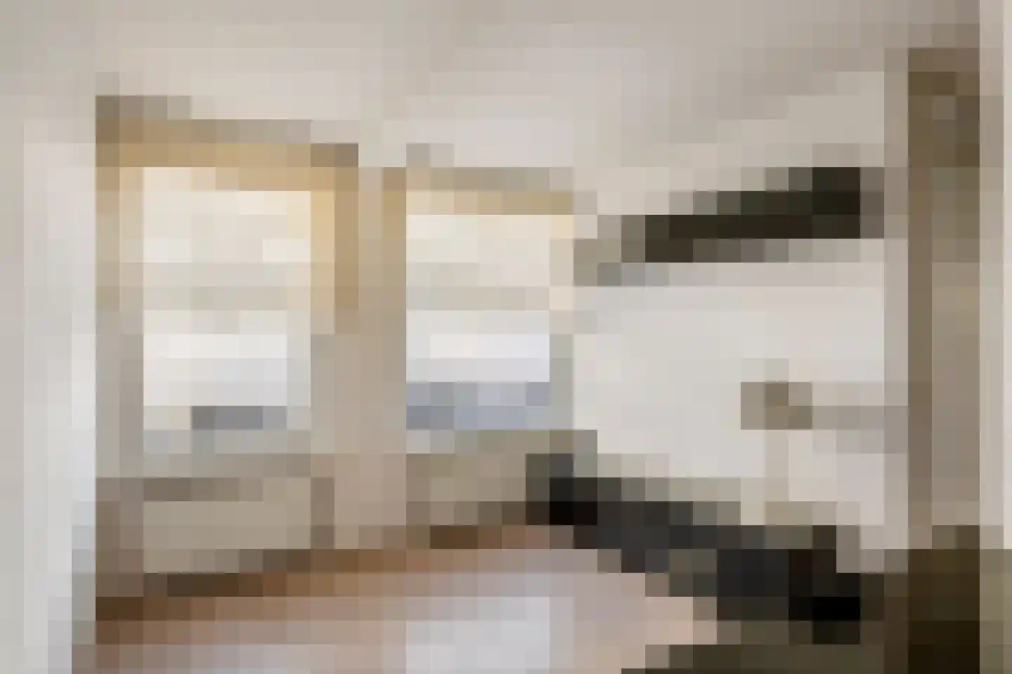 Gasthuisstraat 55 Tiel thumbnail 9