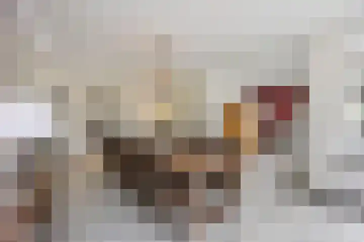 Gasthuisstraat 58 Echt thumbnail 23