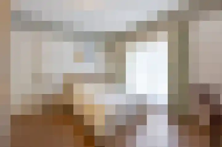 Gasthuisstraat 58 Echt thumbnail 34