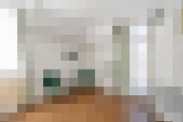 Gasthuisstraat 58 Echt thumbnail 36