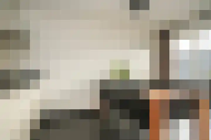 Gasthuisstraat 7 Kerkdriel thumbnail 21