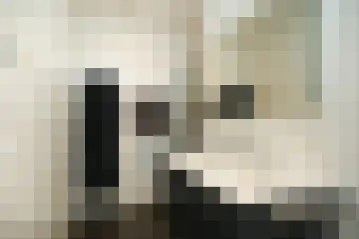 Gasthuisstraat 7 Kerkdriel thumbnail 30