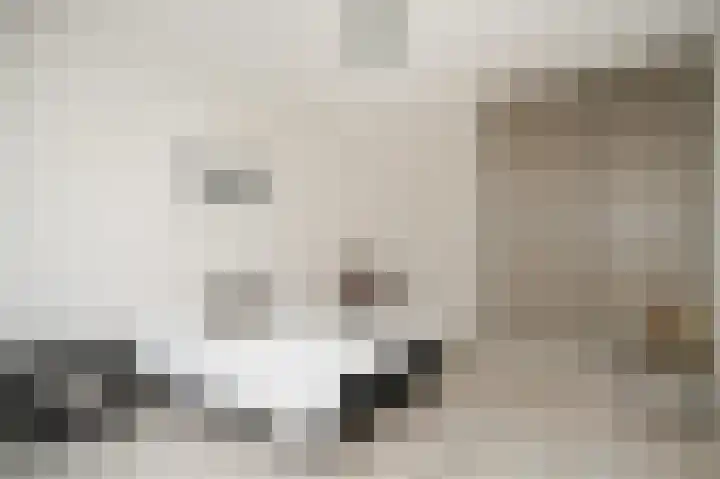 Gasthuisstraat 7 Kerkdriel thumbnail 35