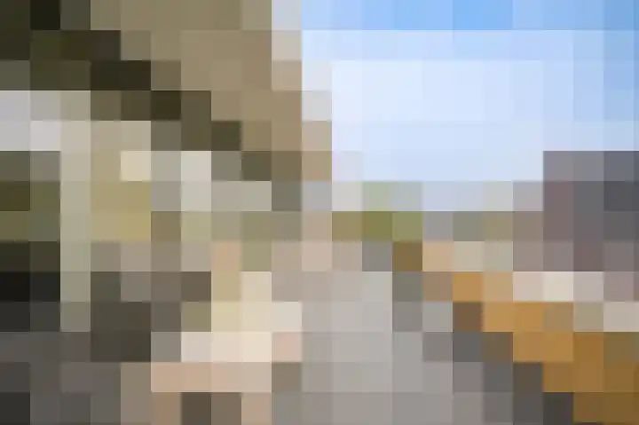 Gasthuisstraat 7 Kerkdriel thumbnail 41