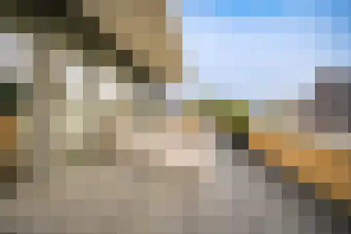 Gasthuisstraat 7 Kerkdriel thumbnail 43