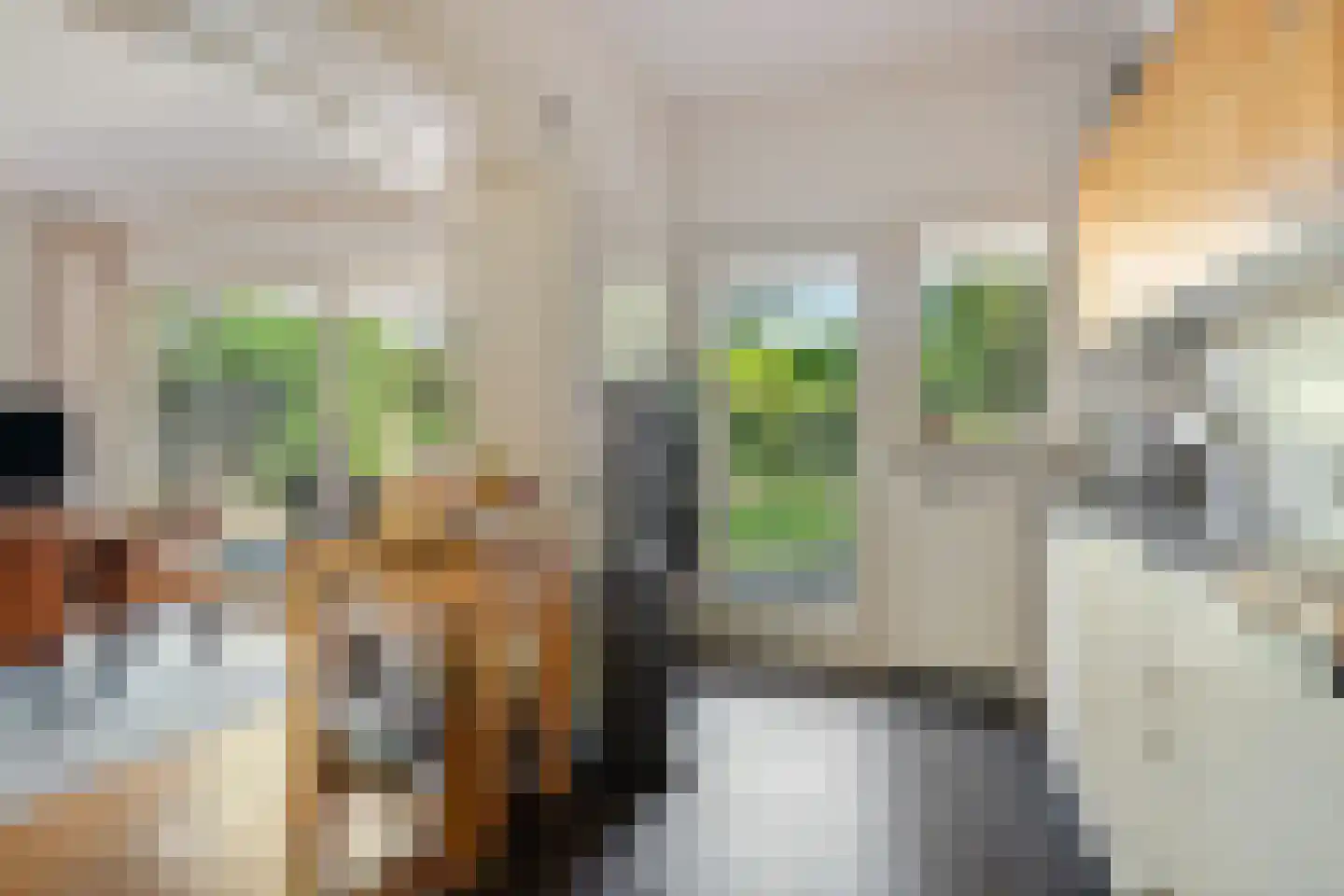 Gasthuisstraat 7 Veghel thumbnail 15
