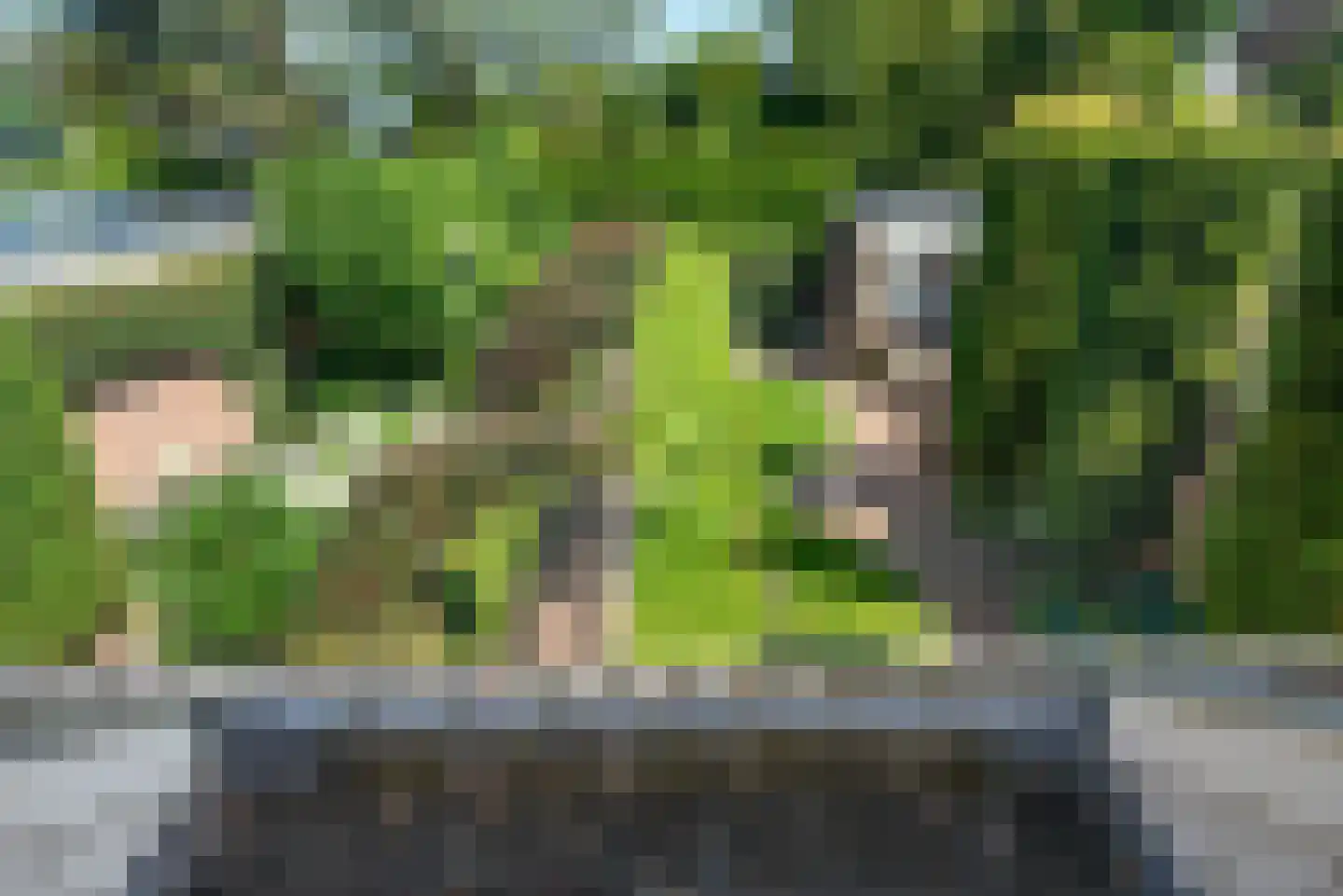 Gasthuisstraat 7 Veghel thumbnail 31
