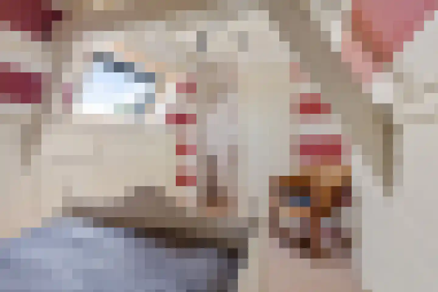 Gasthuisstraat 7 Veghel thumbnail 33