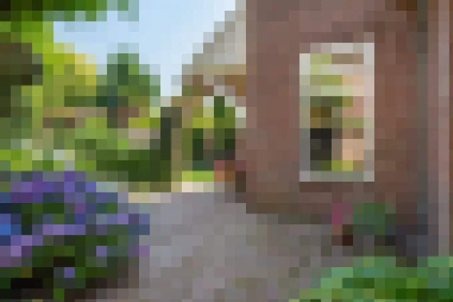 Gasthuisstraat 7 Veghel thumbnail 38
