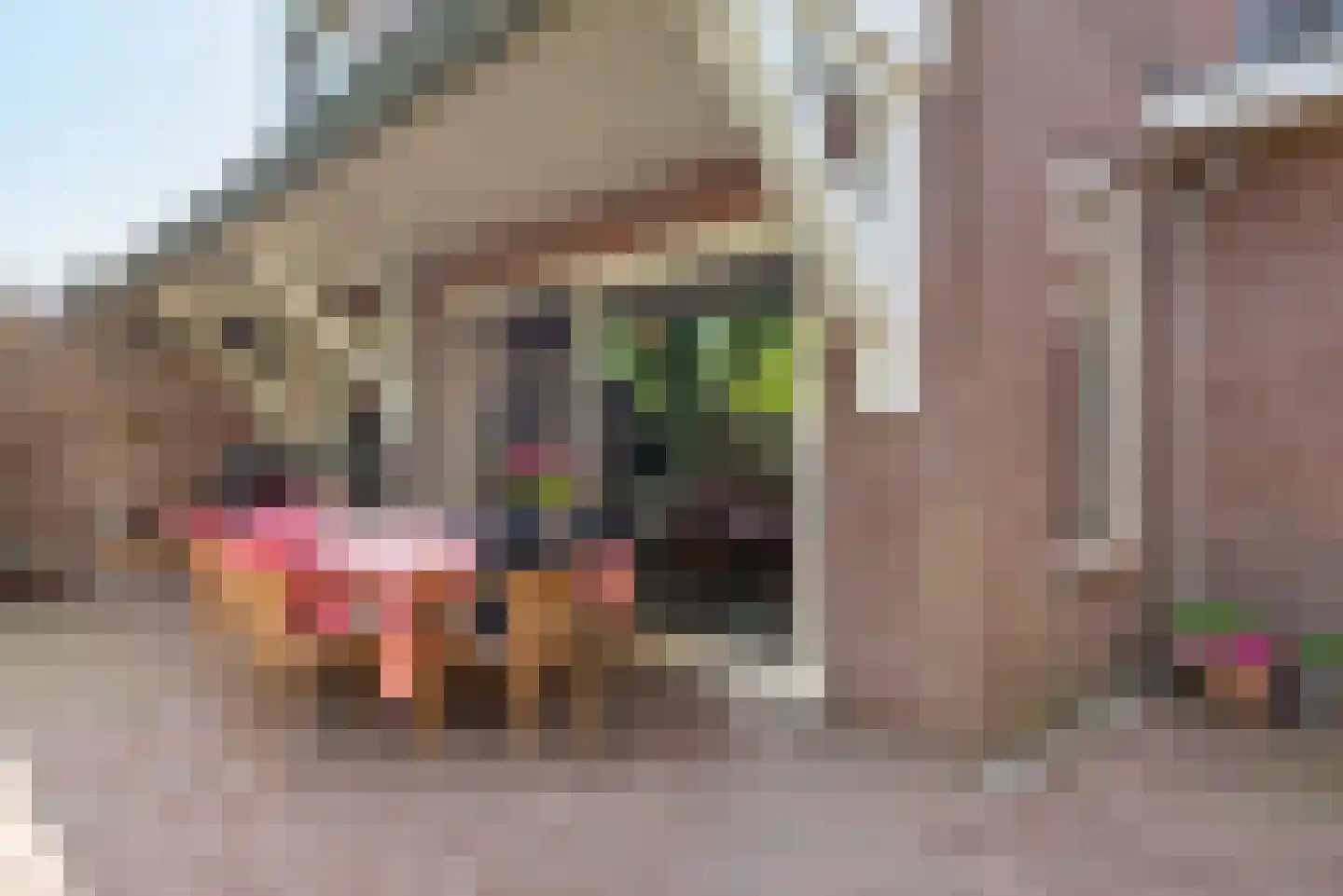 Gasthuisstraat 7 Veghel thumbnail 39
