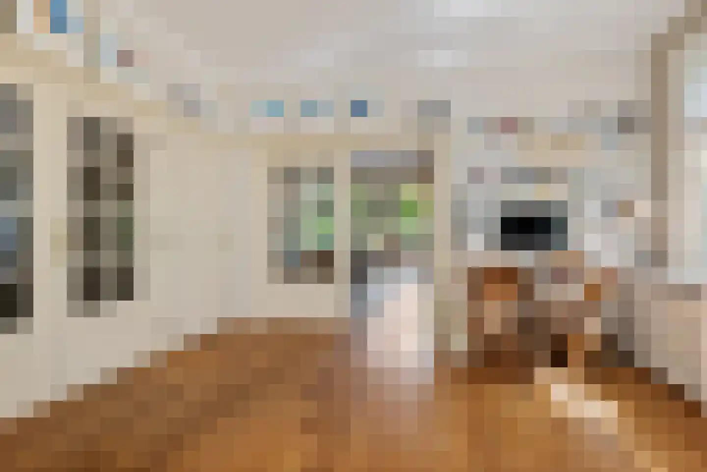 Gasthuisstraat 7 Veghel thumbnail 9