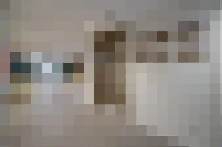 Gasthuisstraat 70 Dongen thumbnail 10