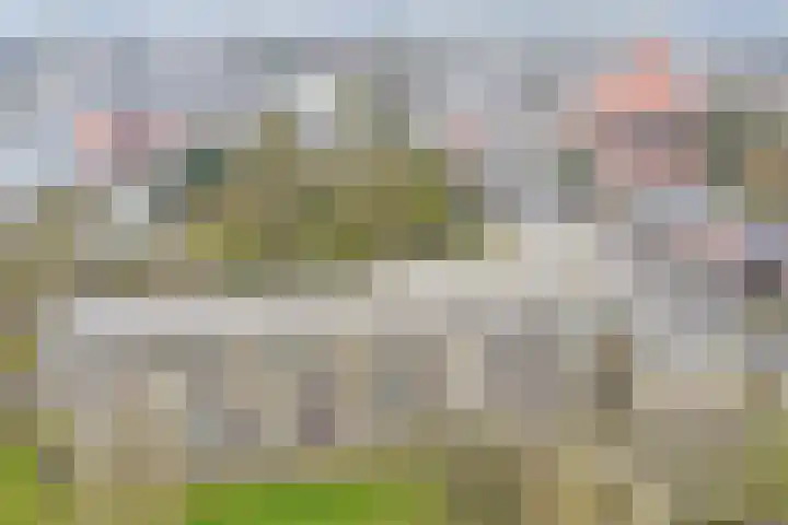 Gasthuisstraat 70 Dongen thumbnail 50
