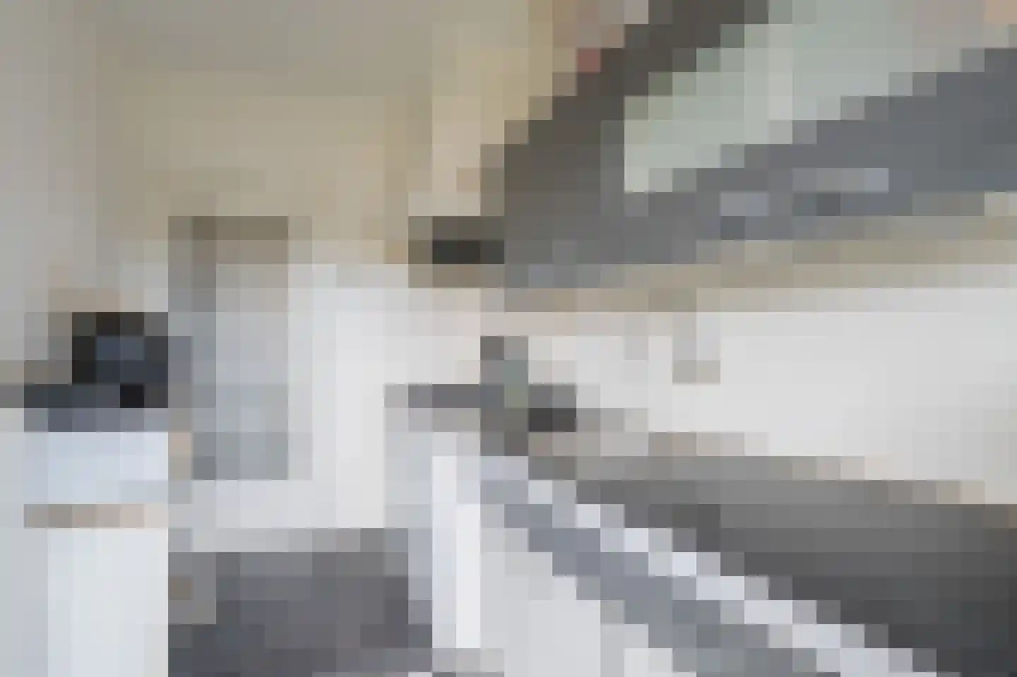 Gasthuisstraat 72 Tegelen thumbnail 8