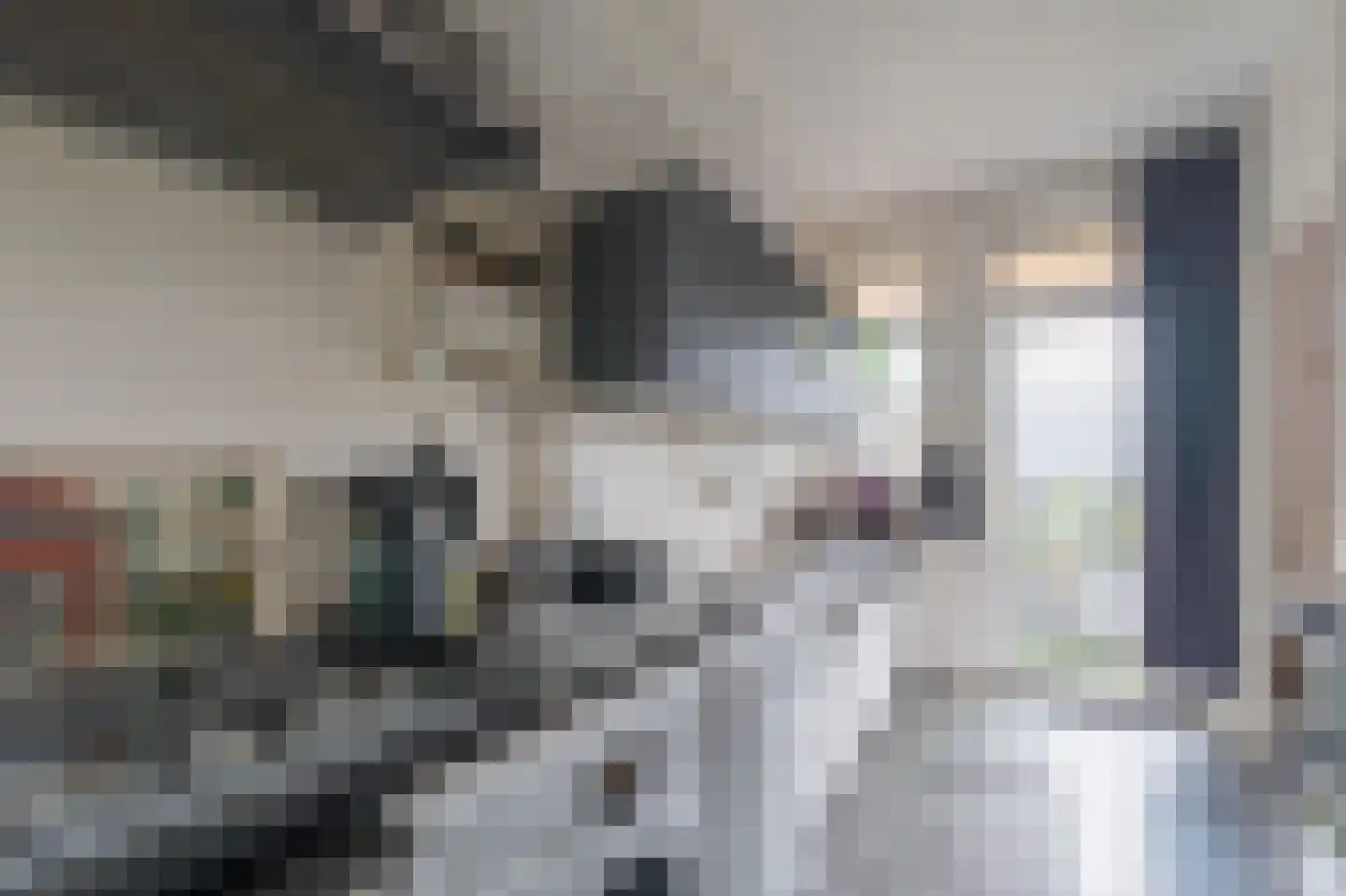 Gasthuisstraat 72 Tegelen thumbnail 9