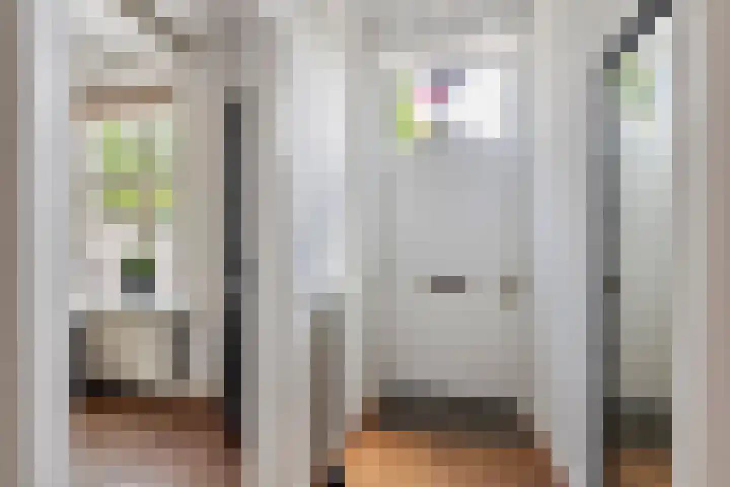 Gasthuisstraat 8 Buren thumbnail 11