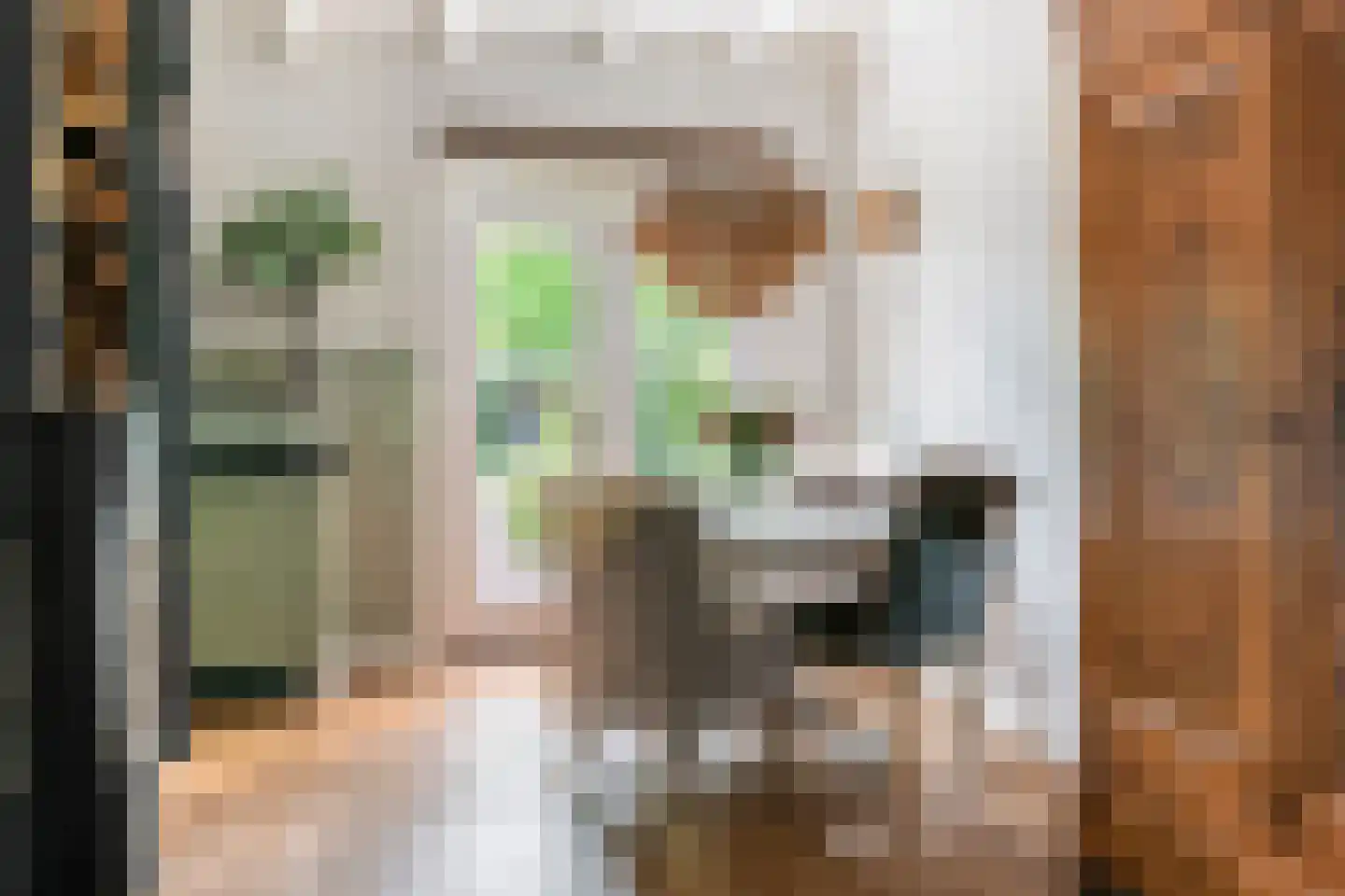 Gasthuisstraat 8 Buren thumbnail 17