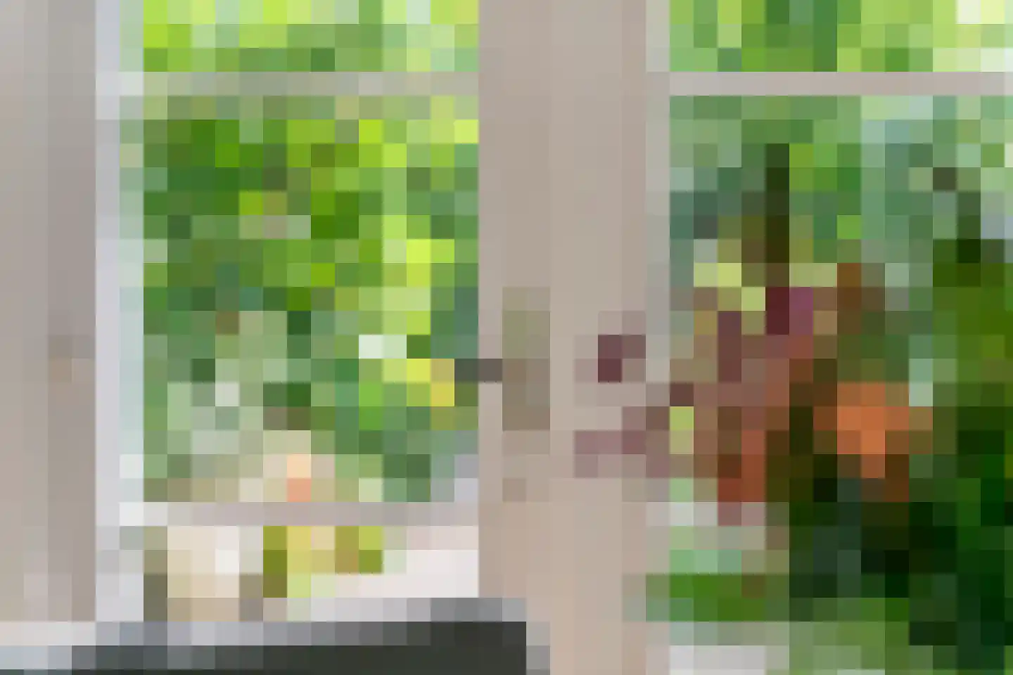 Gasthuisstraat 8 Buren thumbnail 20