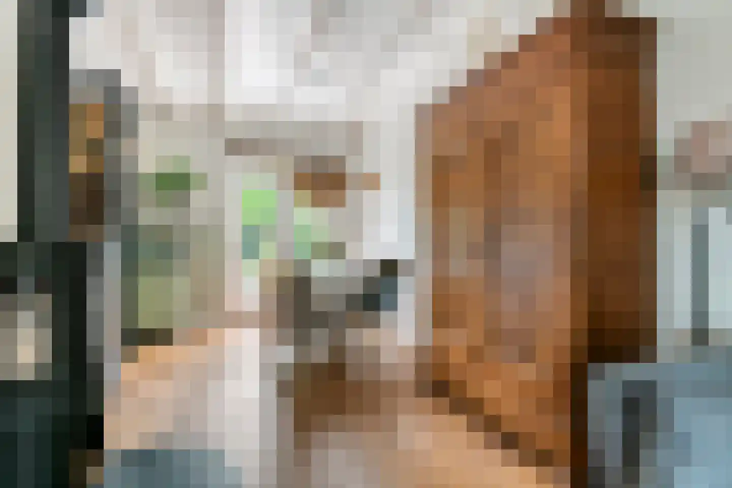 Gasthuisstraat 8 Buren thumbnail 21