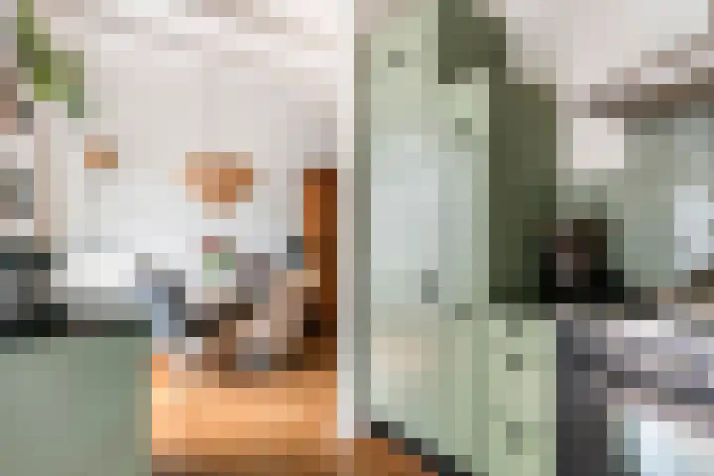 Gasthuisstraat 8 Buren thumbnail 24