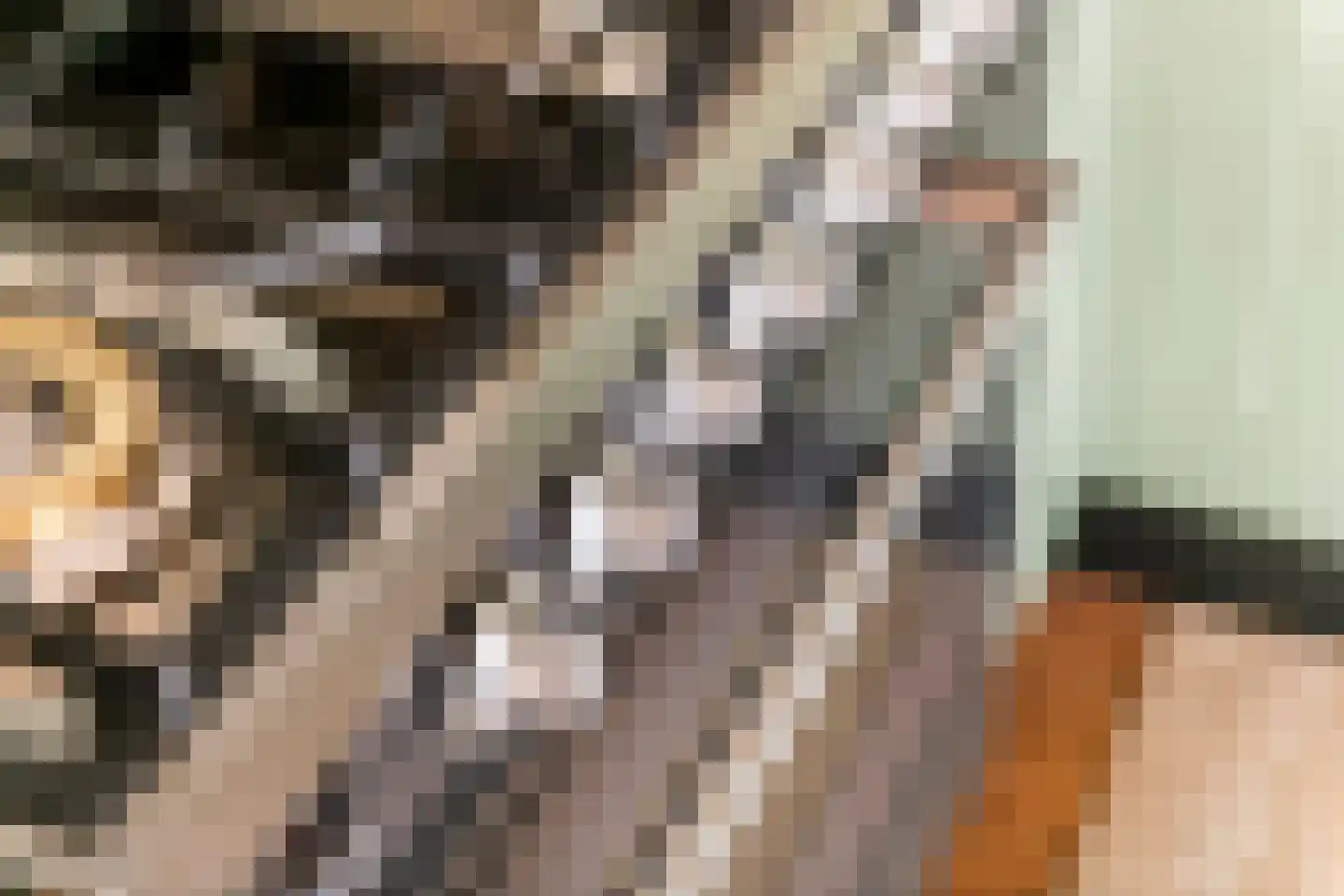 Gasthuisstraat 8 Buren thumbnail 26