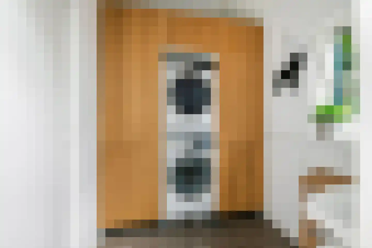 Gasthuisstraat 8 Buren thumbnail 32