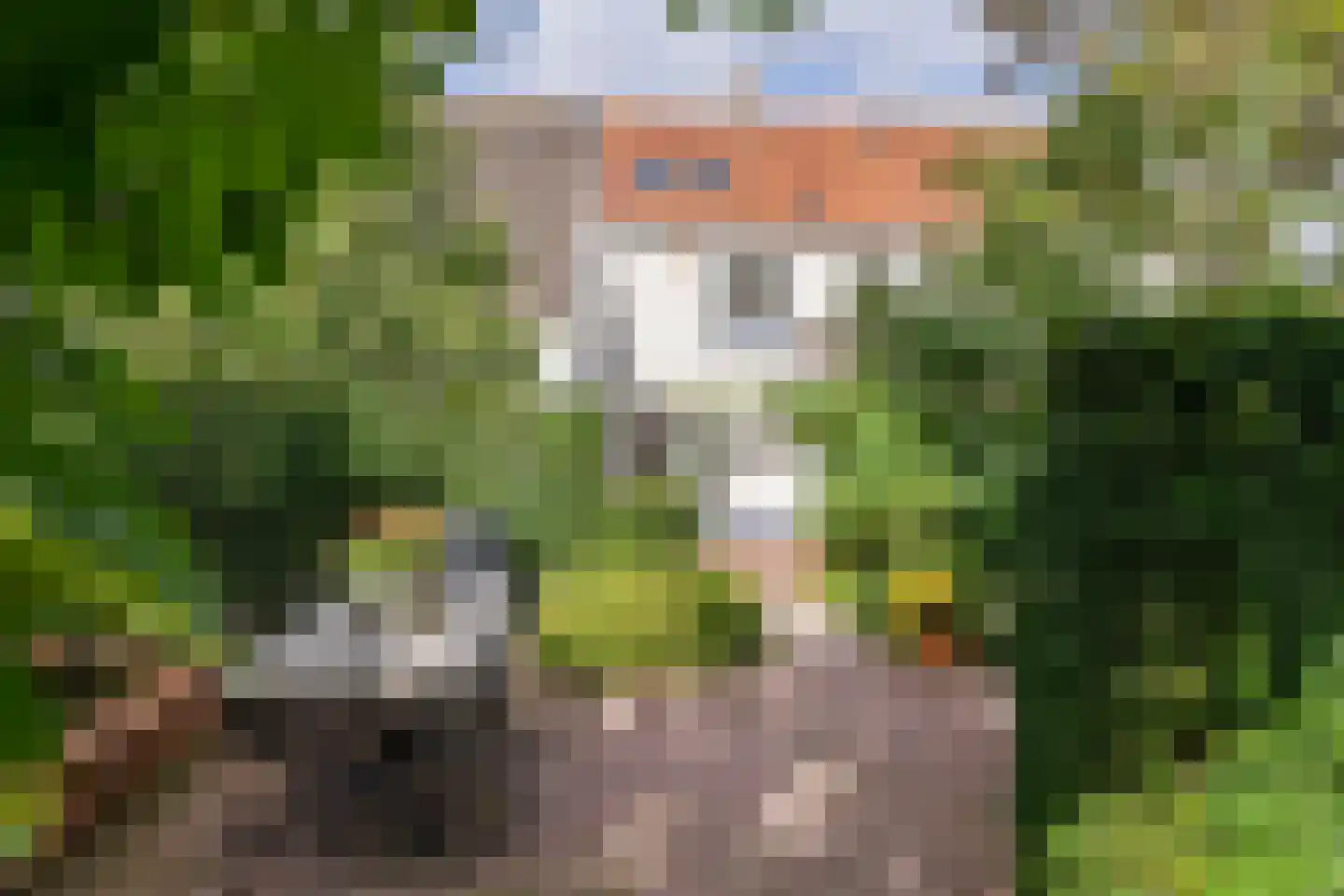 Gasthuisstraat 8 Buren thumbnail 33