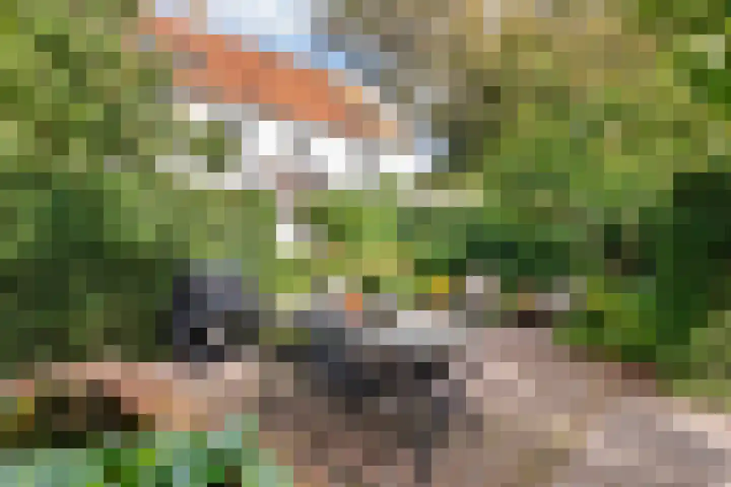Gasthuisstraat 8 Buren thumbnail 34