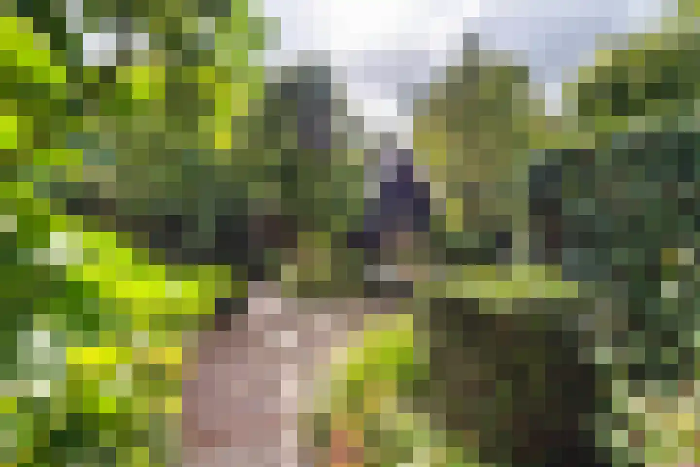 Gasthuisstraat 8 Buren thumbnail 37