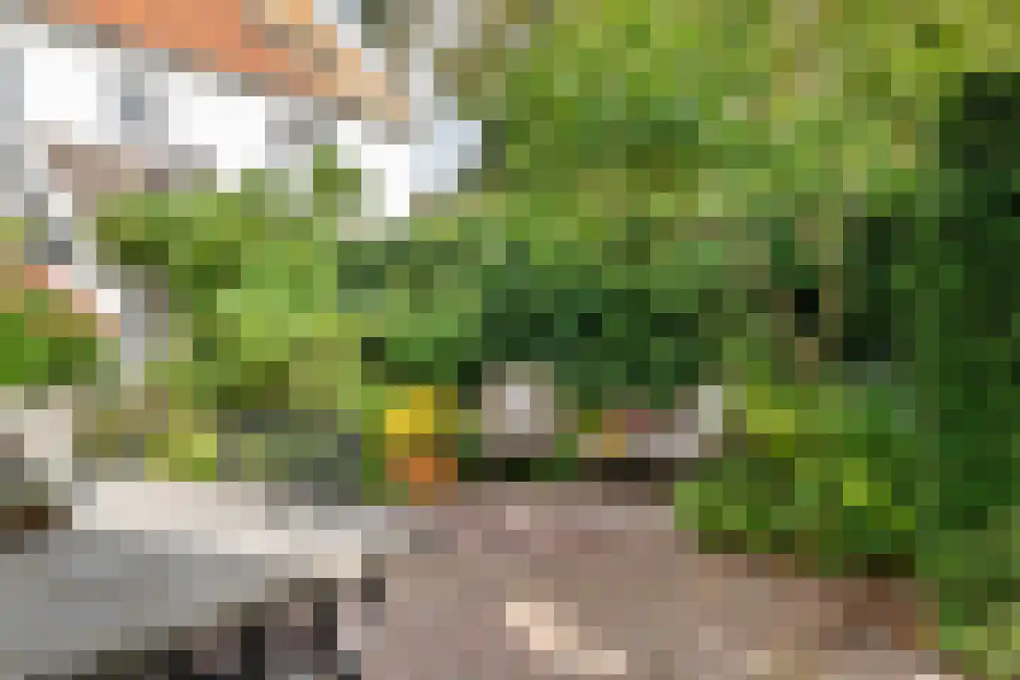 Gasthuisstraat 8 Buren thumbnail 38