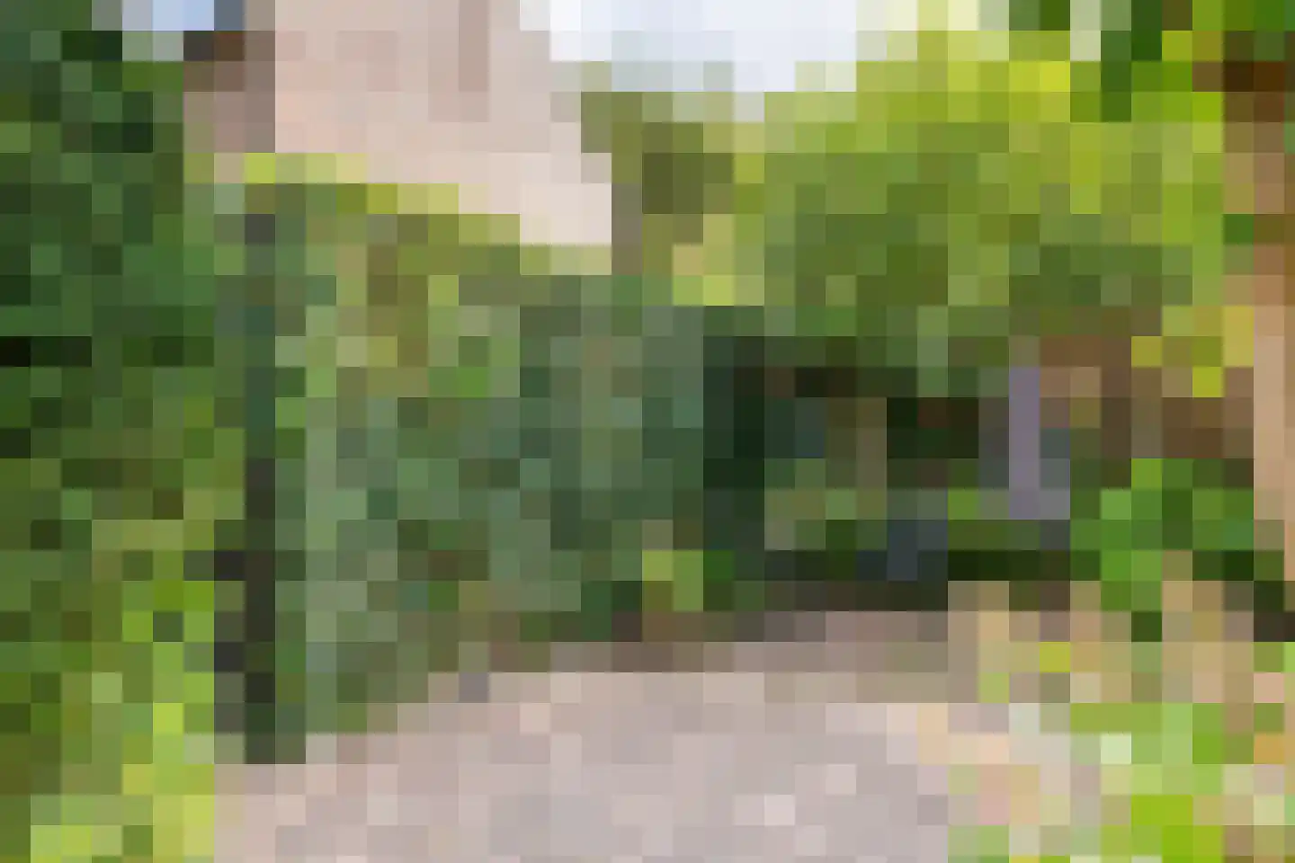 Gasthuisstraat 8 Buren thumbnail 39