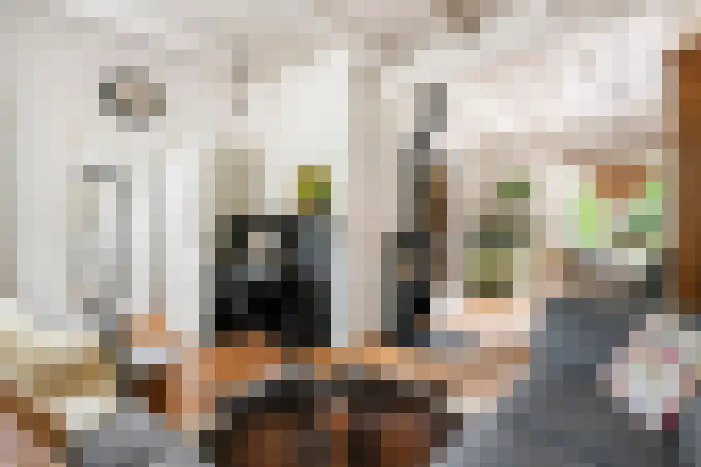Gasthuisstraat 8 Buren thumbnail 4