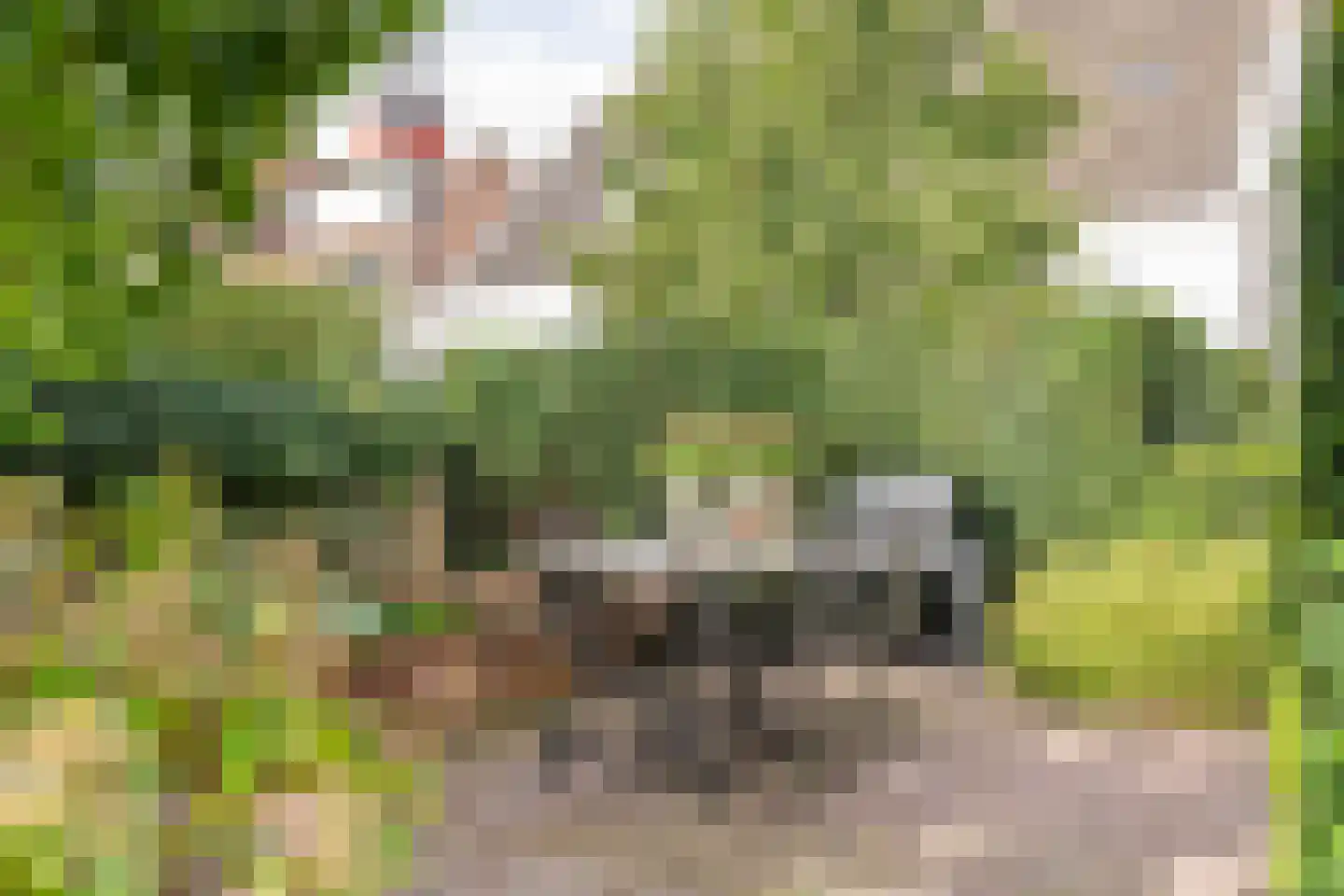 Gasthuisstraat 8 Buren thumbnail 41