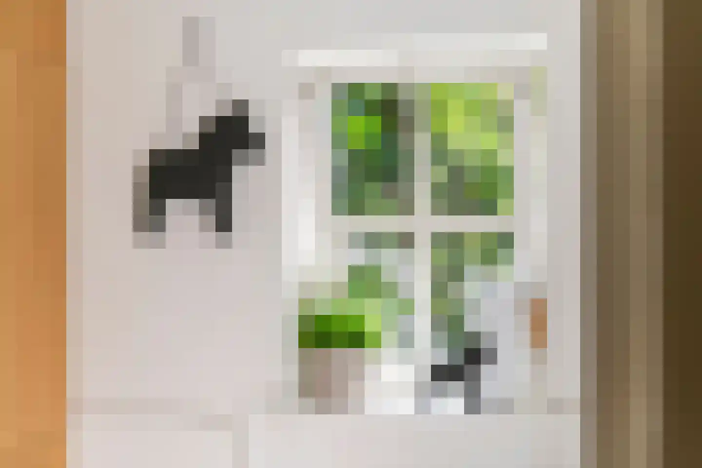Gasthuisstraat 8 Buren thumbnail 47