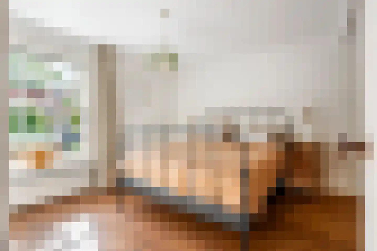 Gasthuisstraat 8 Buren thumbnail 51