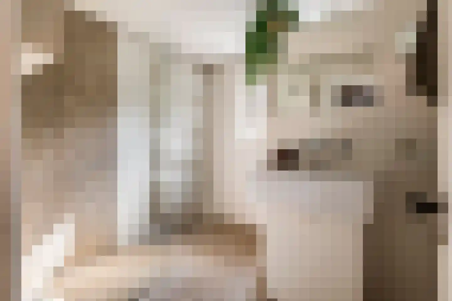Gasthuisstraat 8 Buren thumbnail 55