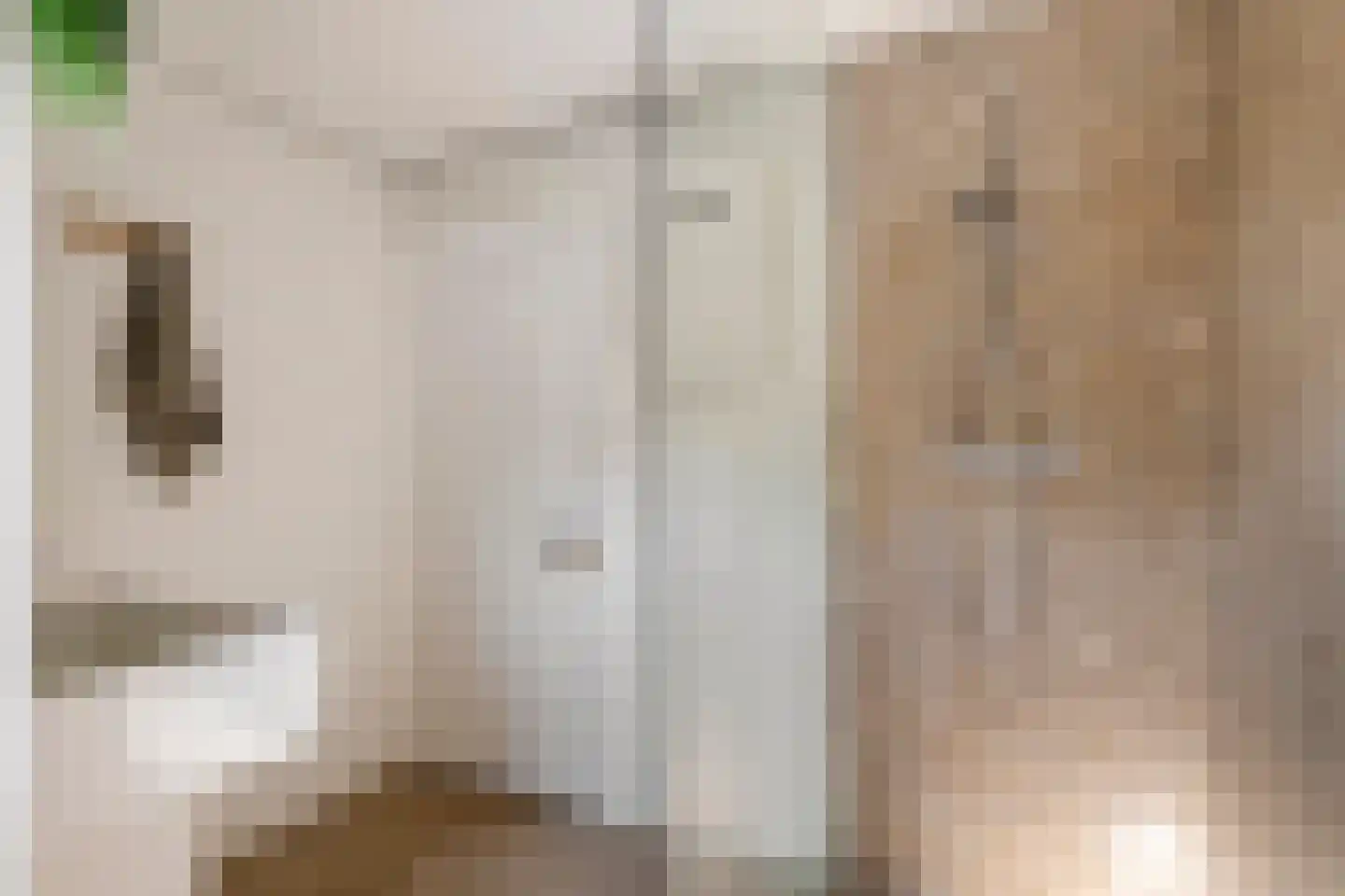 Gasthuisstraat 8 Buren thumbnail 56