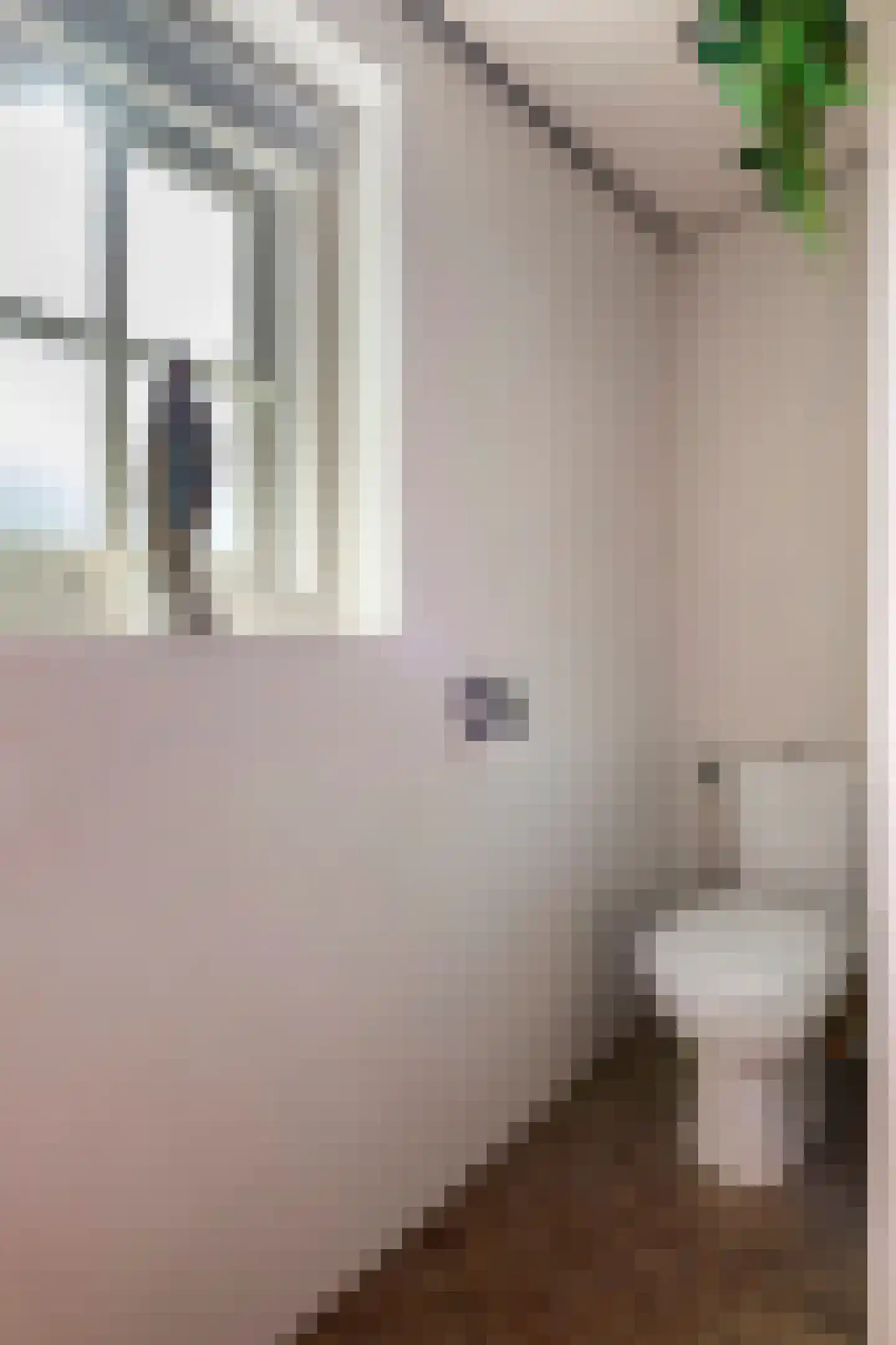 Gasthuisstraat 8 Buren thumbnail 57
