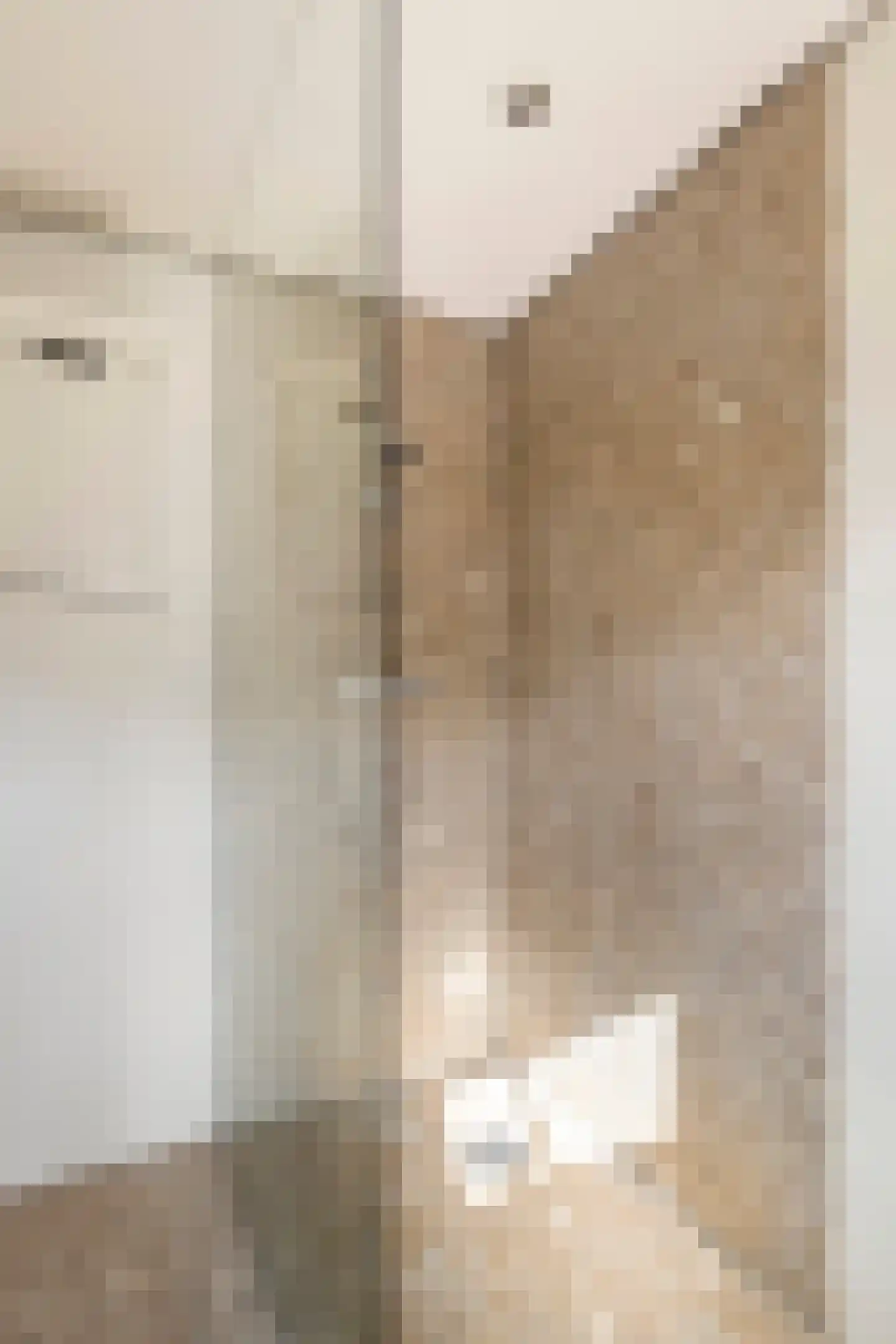 Gasthuisstraat 8 Buren thumbnail 58