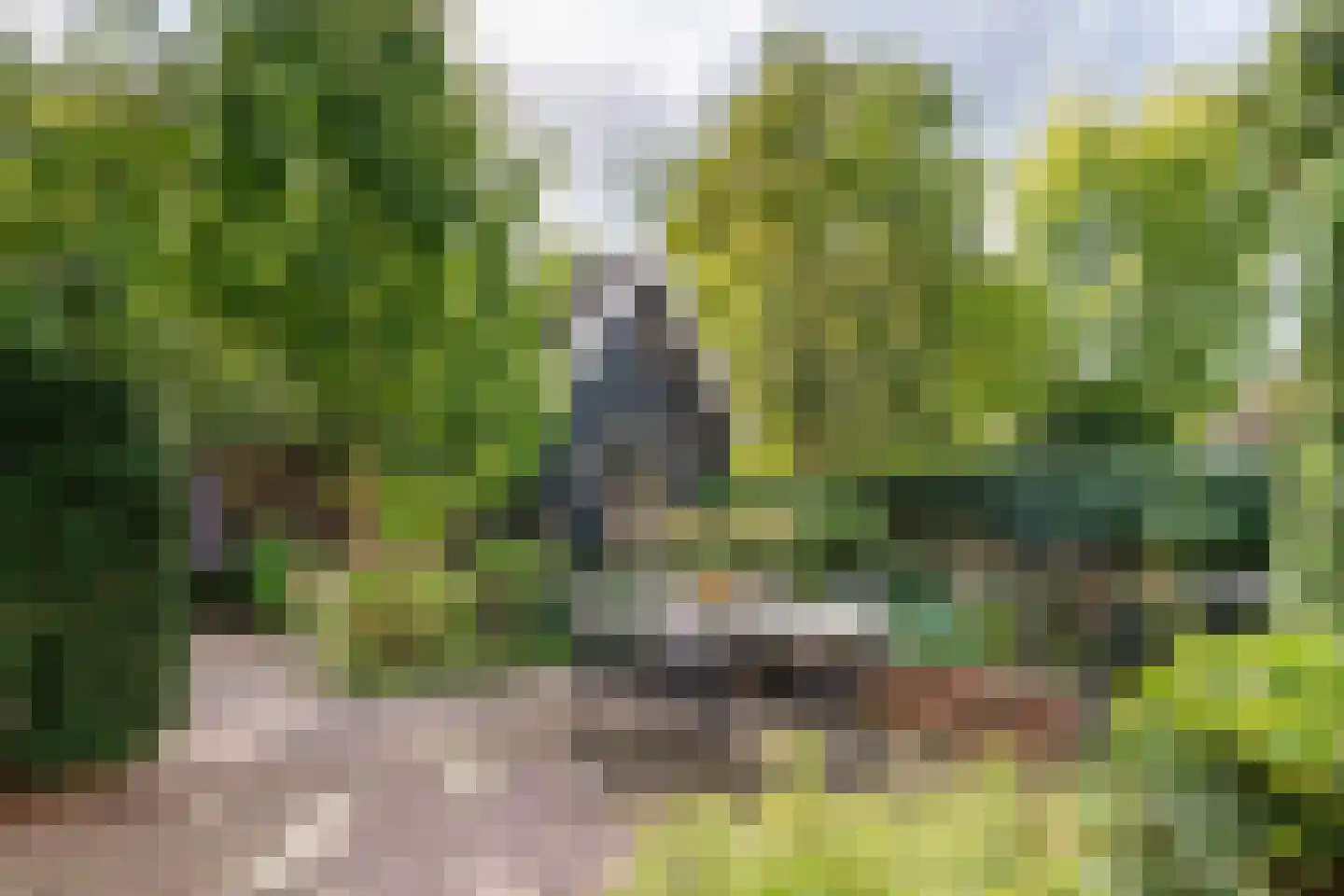 Gasthuisstraat 8 Buren thumbnail 6