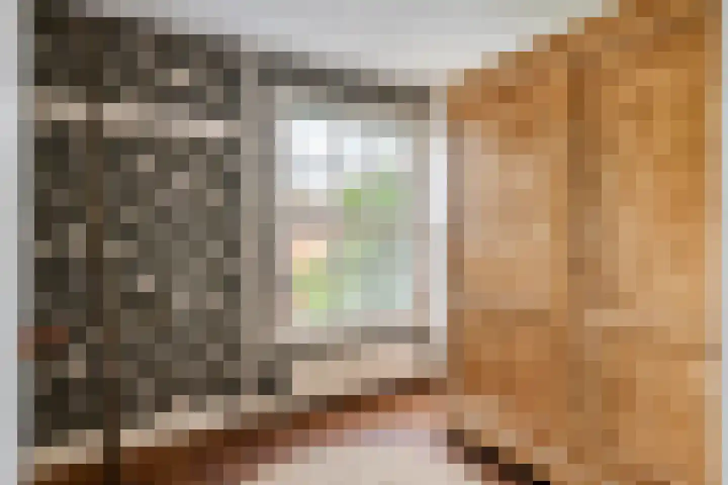 Gasthuisstraat 8 Buren thumbnail 61